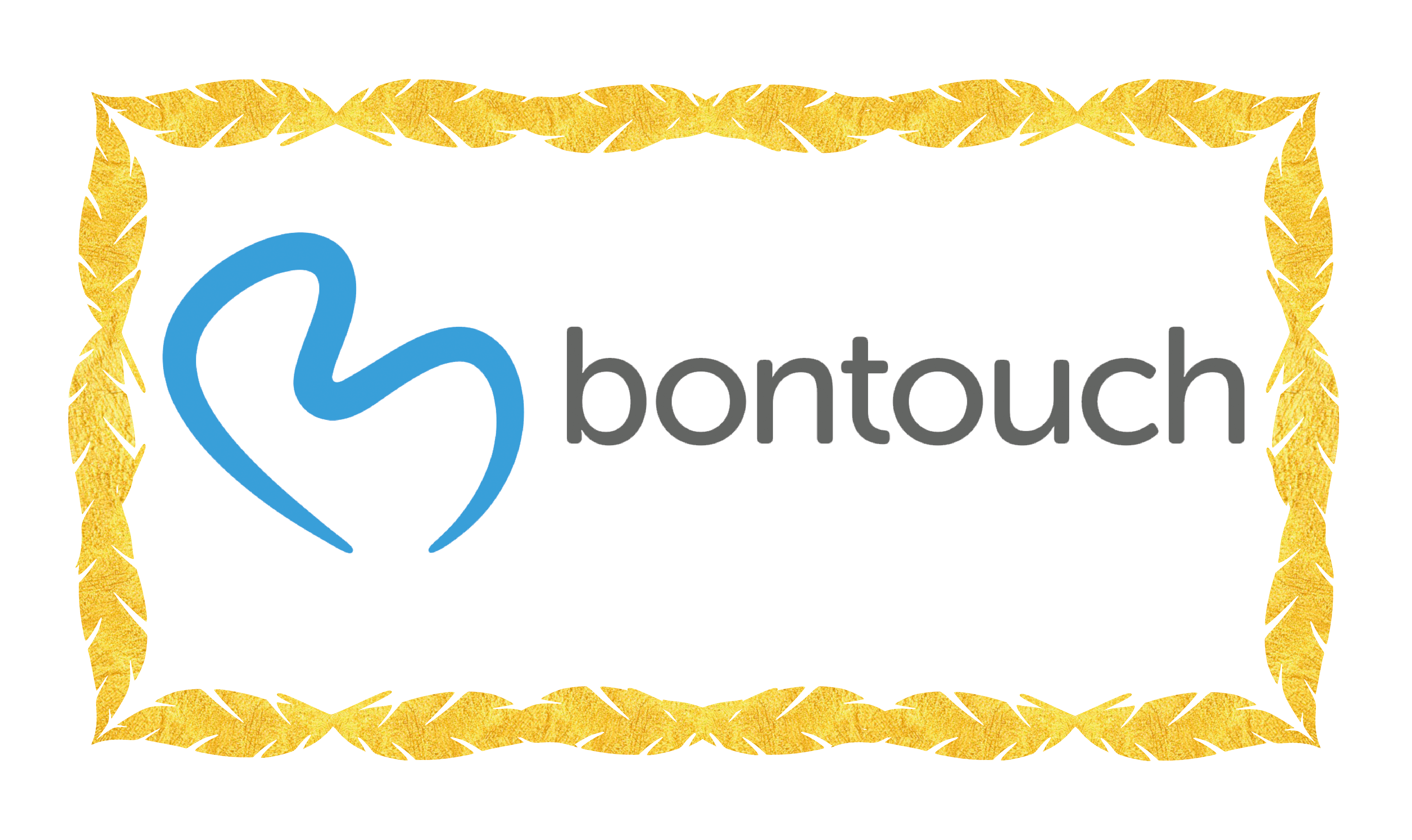 Logotyp fr Bontouch